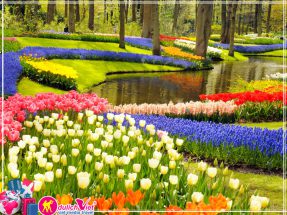 Du lịch Châu Âu 9 ngày Pháp Bỉ Hà Lan Đức lễ hội hoa Tulip 2017 post image